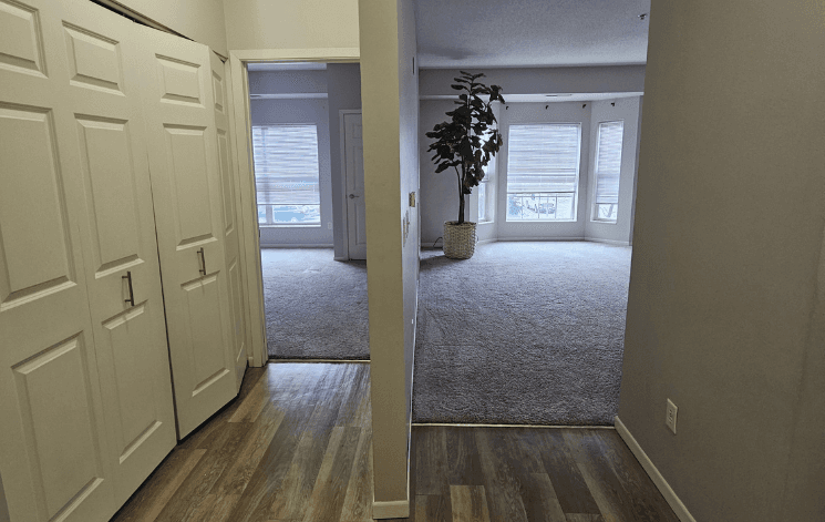 Move in and move out cleaning